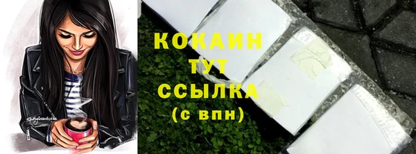 дмт Новокубанск