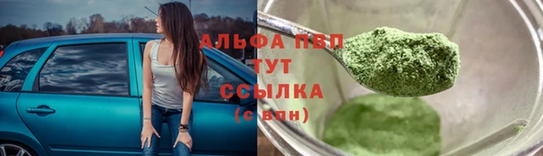 тгк Новозыбков