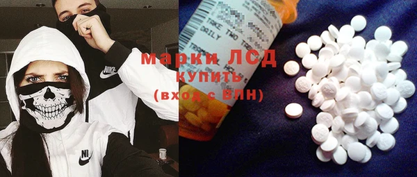 тгк Новозыбков