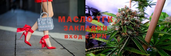 тгк Новозыбков